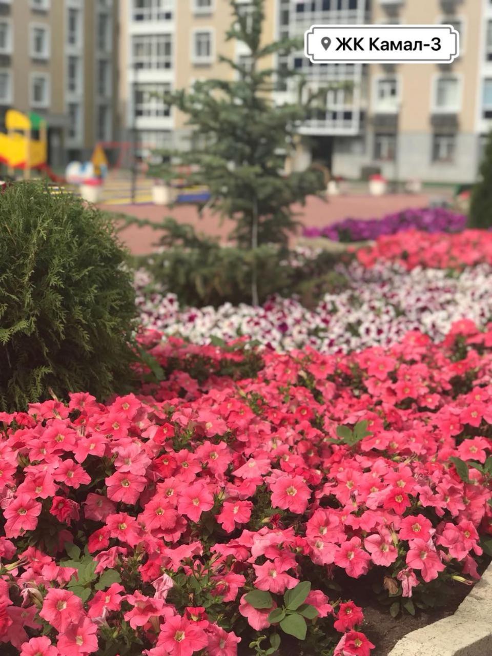 Однокомнатная Astana Luaran gambar